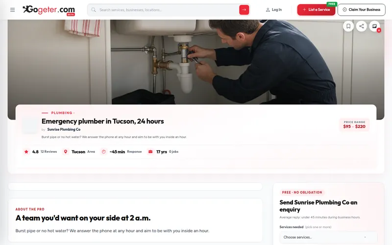 Step 10 screenshot: Go live on GoGeter in the GoGeter dashboard